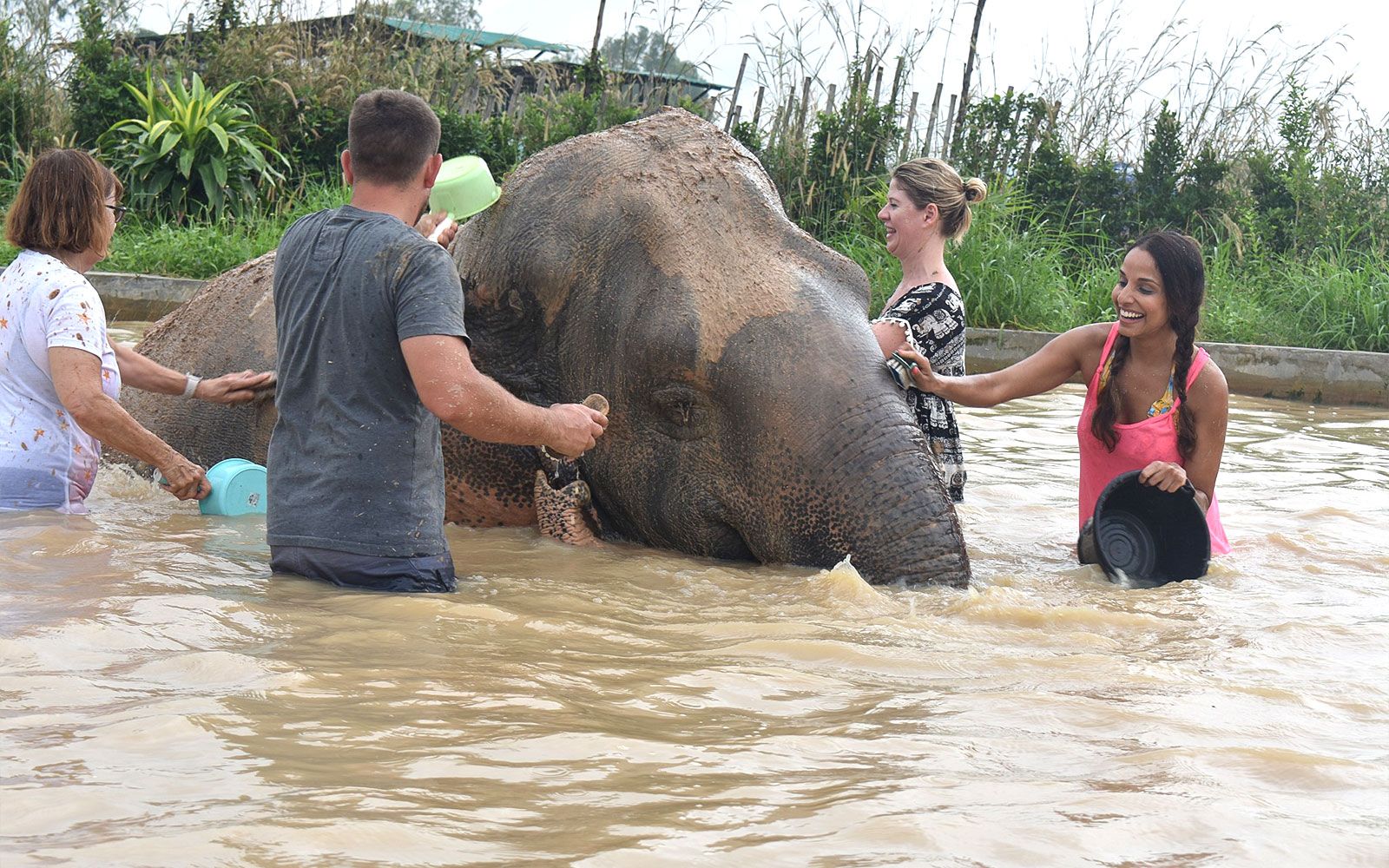 Visitors bathing an elephant at Elephant Jungle Sanctuary, Pattaya.