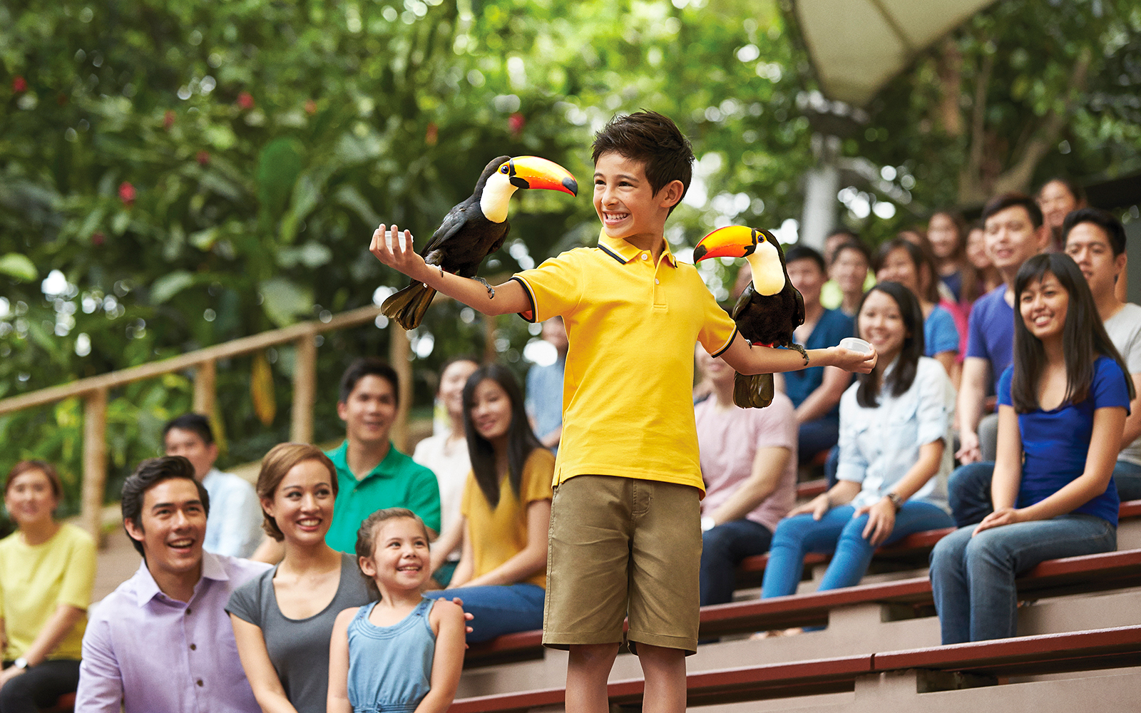 feeding birds at bird paradise singapore