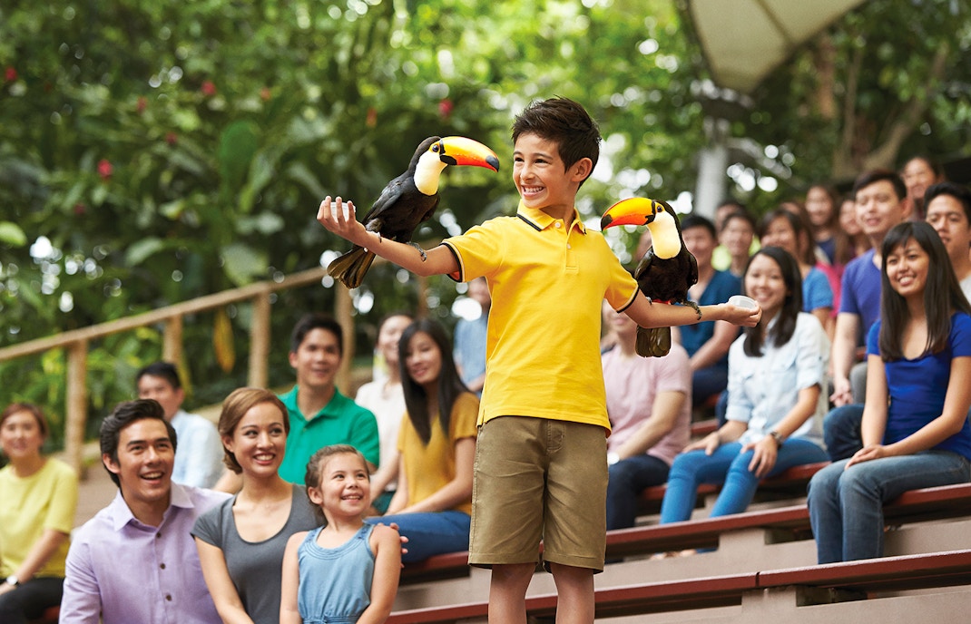 feeding birds at bird paradise singapore