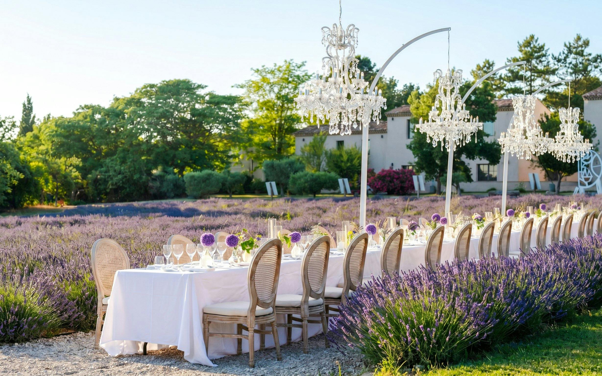 Outdoor dining setup in a lavender field at Terre Ugo, Provence.