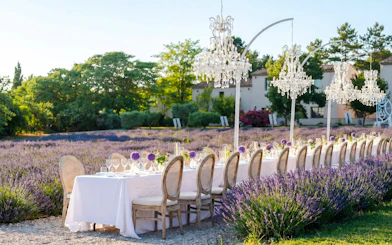 Outdoor dining setup in a lavender field at Terre Ugo, Provence.