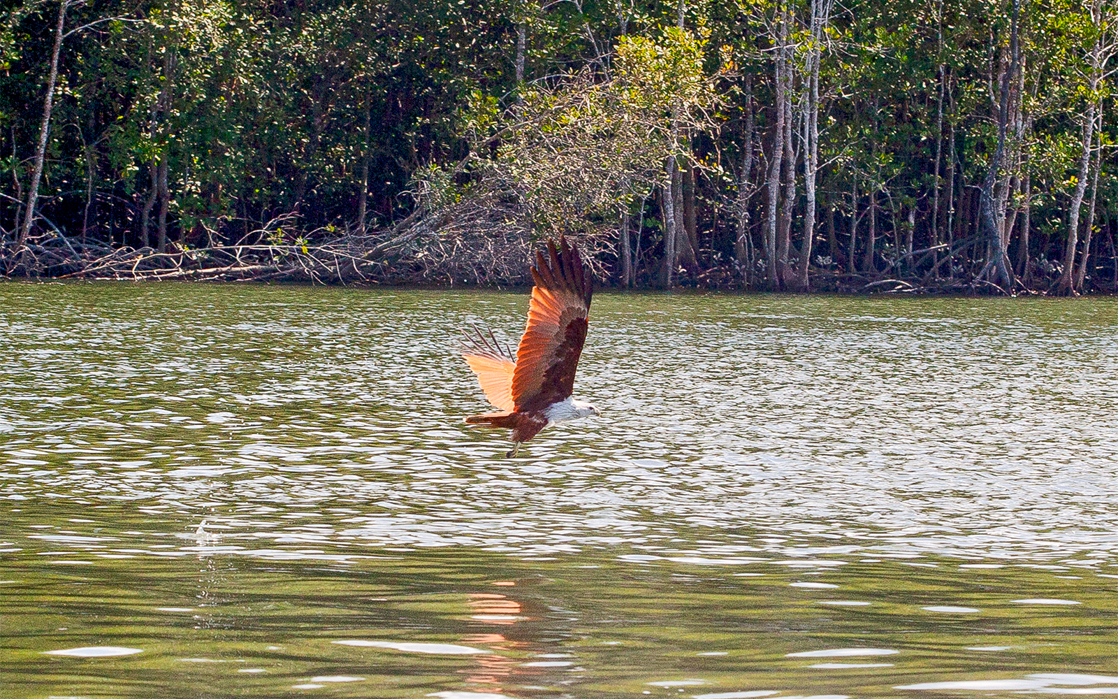 Kilim Geoforest Park