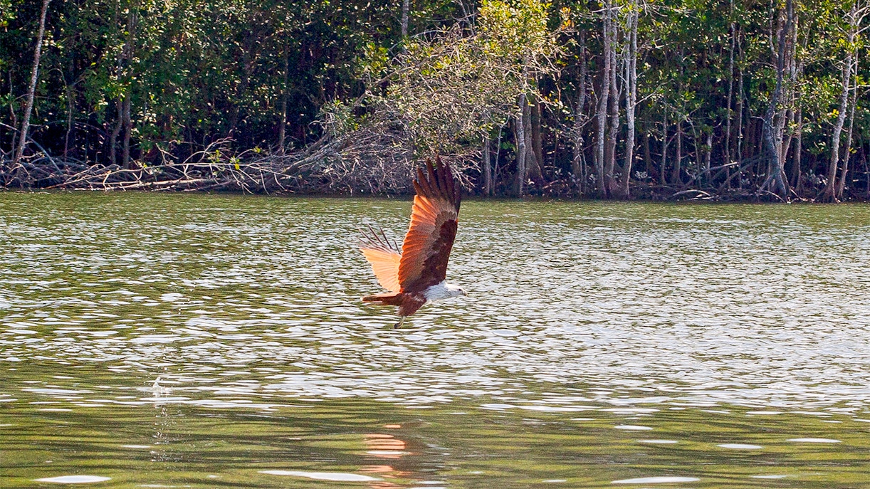 Kilim Geoforest Park