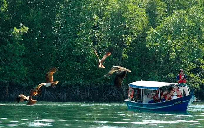 From Langkawi: Kilim Geoforest Park Mangrove and Island-Hopping Cruise with Hotel Transfers and Lunch