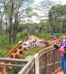 Giraffe Centre Nairobi