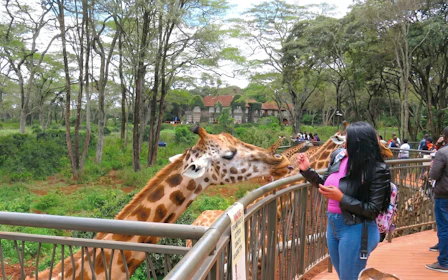 Nairobi: Guided Giraffe Centre & Kazuri Beads Factory Visit Excursion