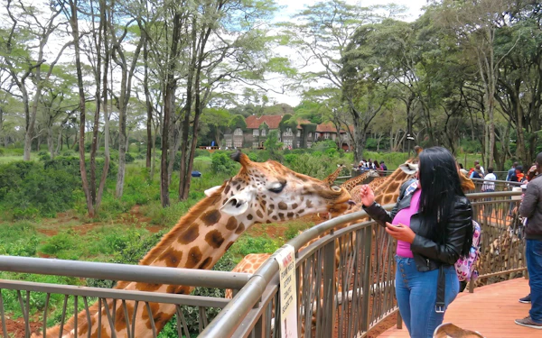 Nairobi: Guided Giraffe Centre & Kazuri Beads Factory Visit Excursion