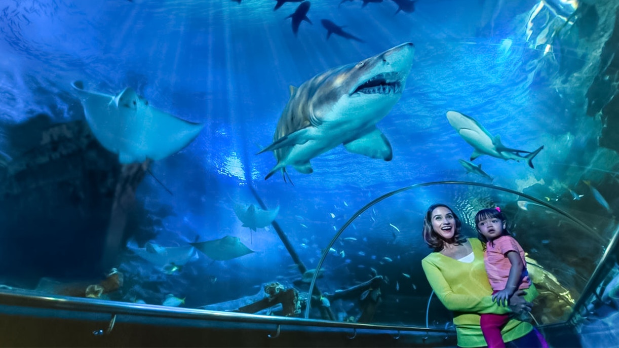 Petronas Twin Towers - Plan Your Visit