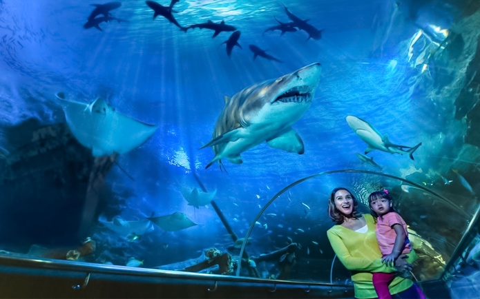 Mother and daughter observing sharks in Aquaria KLCC tunnel.