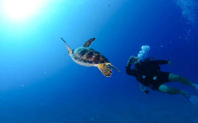 Antalya: Scuba Diving 2 Dives