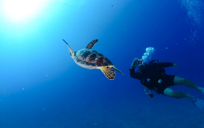 Antalya: Scuba Diving 2 Dives