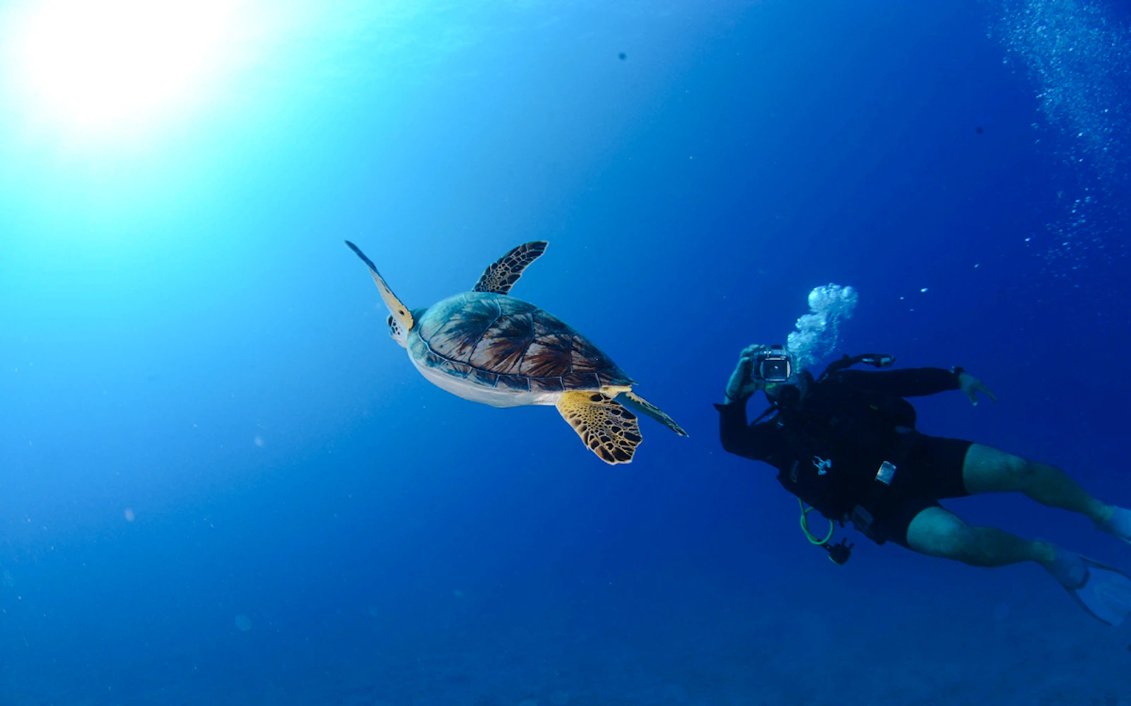 Antalya: Scuba Diving 2 Dives Image 2