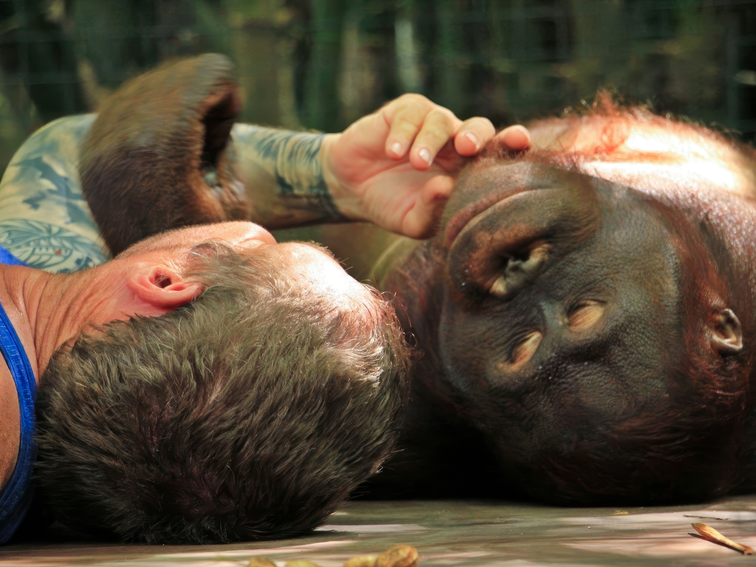 Tourist interacting with an orangutan at Lombok Wildlife Park.