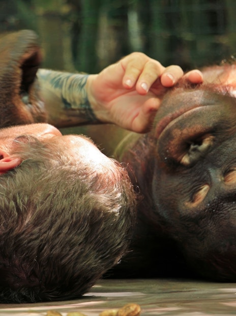 Tourist interacting with an orangutan at Lombok Wildlife Park.