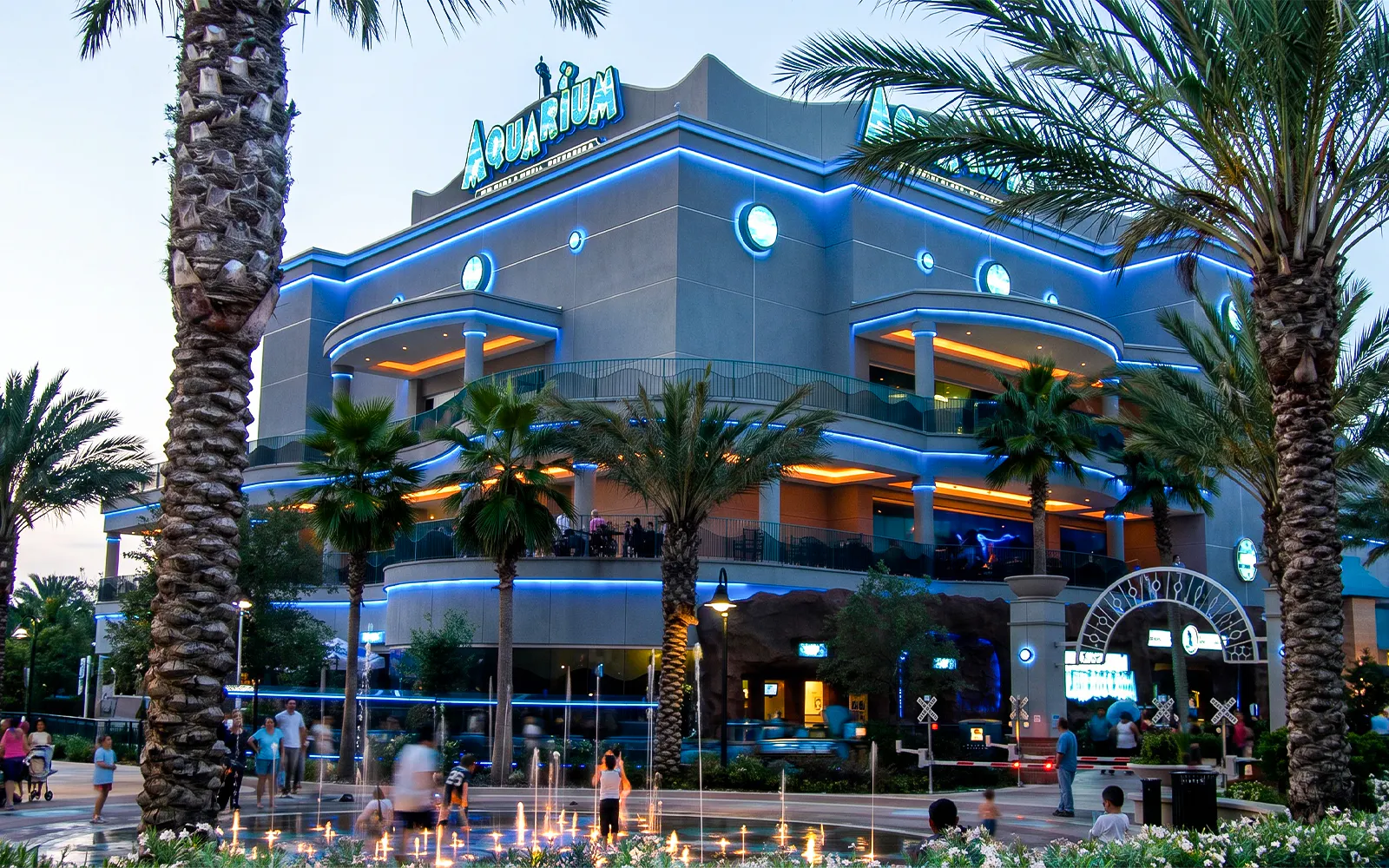 Downtown Aquarium Houston exterior with palm trees and evening lights.