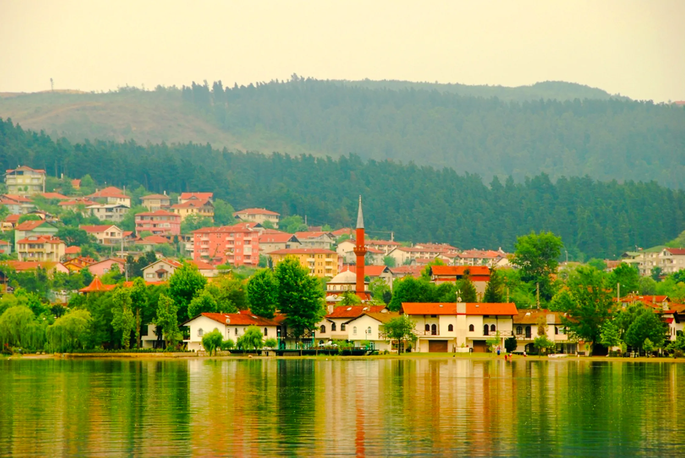 From Istanbul: Sapanca and Masukiye Tour with Lunch and Hotel Transfers Image 12