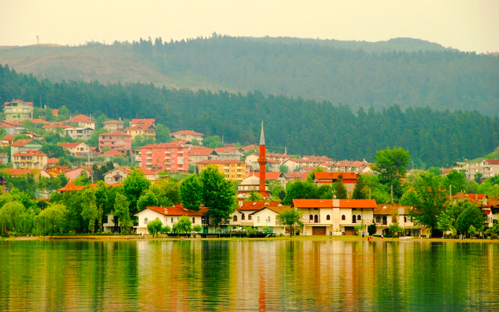 From Istanbul: Sapanca and Masukiye Tour with Lunch and Hotel Transfers Image 12