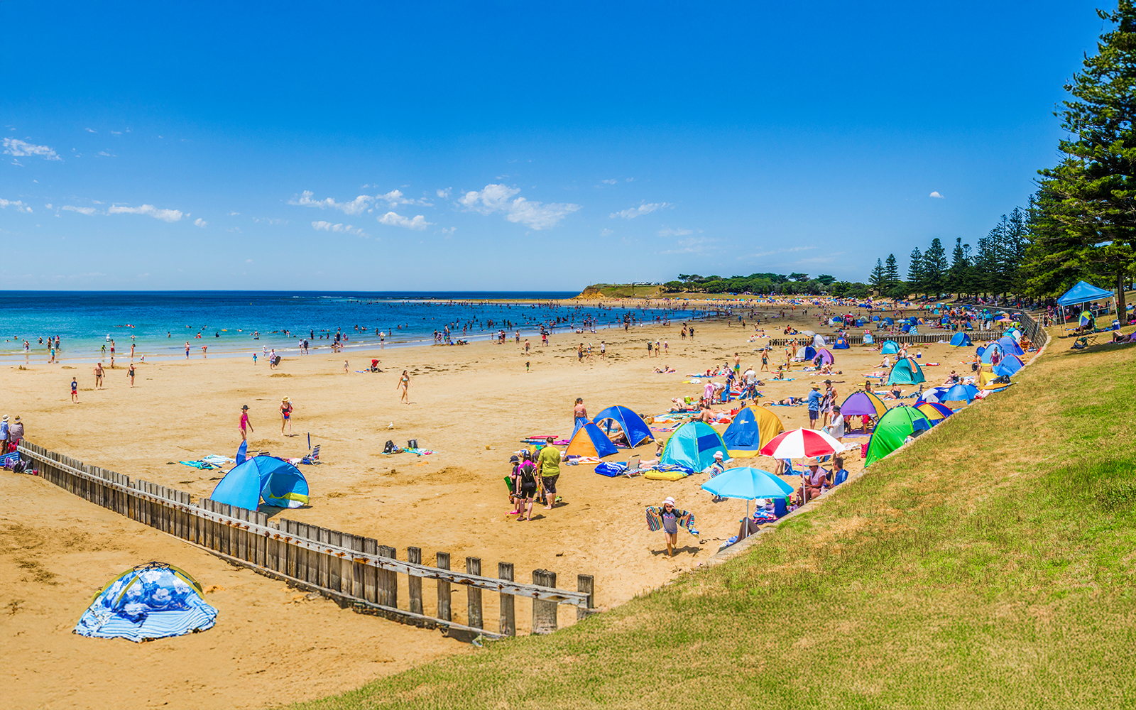 Torquay Beach along Great Ocean Road with surfers catching waves in the background.