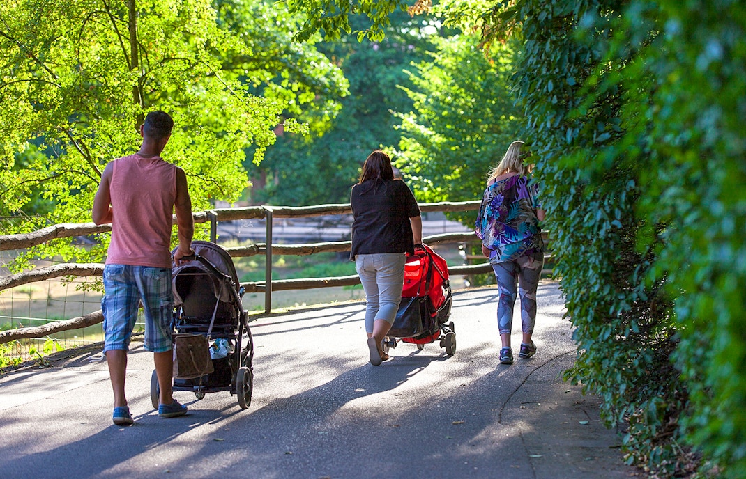 People walking with strollers on a tree-lined path.