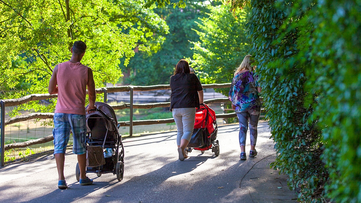 Strollers parked outside the entrance of a tourist attraction in a busy city.