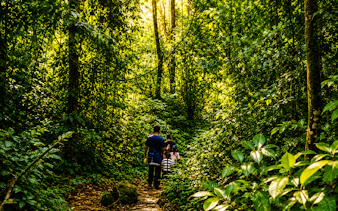 Trekking through lush jungle at Tangkahan Elephant Sanctuary, Medan.