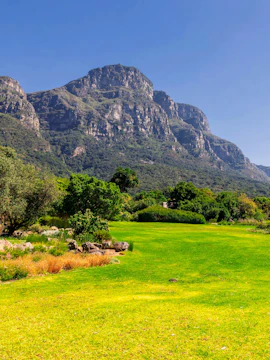 Kirstenbosch Botanical Garden lawn with mountain backdrop in Cape Town, South Africa.