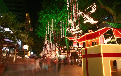Singapore street adorned with Christmas lights and illuminated bird decorations during the Christmas Light Up Tour.
