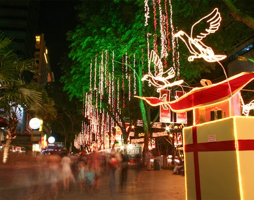 Singapore street adorned with Christmas lights and illuminated bird decorations during the Christmas Light Up Tour.