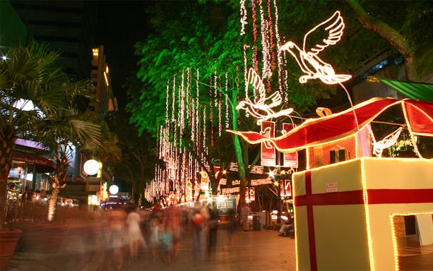 Singapore street adorned with Christmas lights and illuminated bird decorations during the Christmas Light Up Tour.