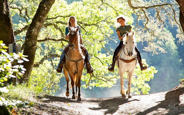 Horseback riders on a forest trail near Siena, Italy.