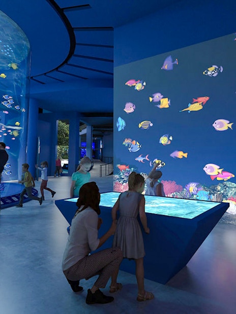 Colourful fishes in large tank at Singapore Oceanarium with visitors observing.