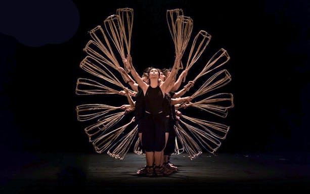 Performers at A O Show circus holding bamboo props in a synchronized formation.