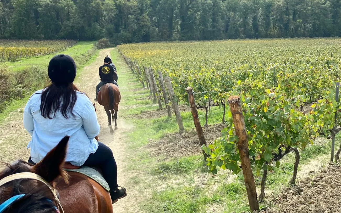 Horseback riders on a trail through vineyards in Tuscany countryside near San Gimignano.