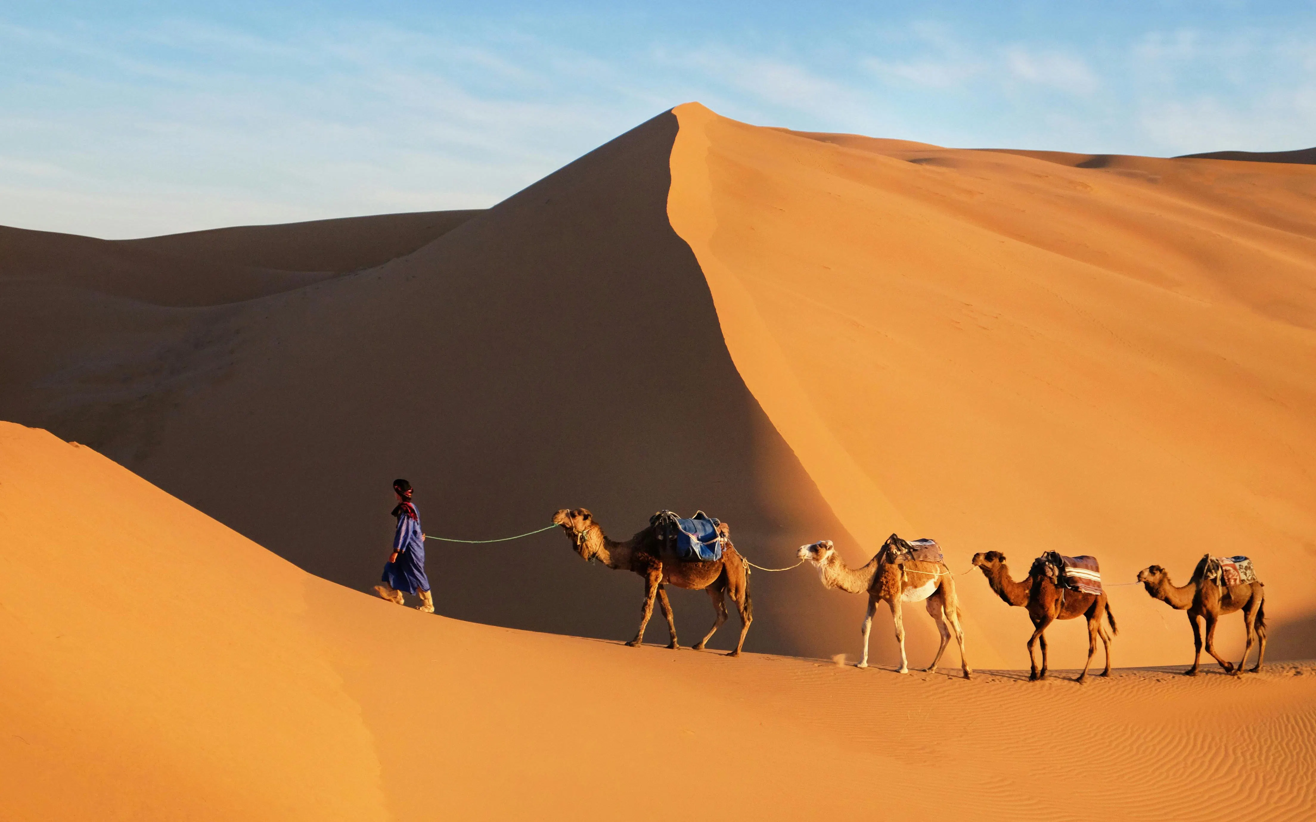 Camel caravan crossing sand dunes in the Sahara Desert.