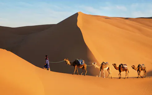 Camel caravan crossing sand dunes in the Sahara Desert.