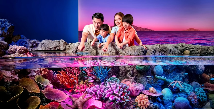 Månenytår i Bangkok