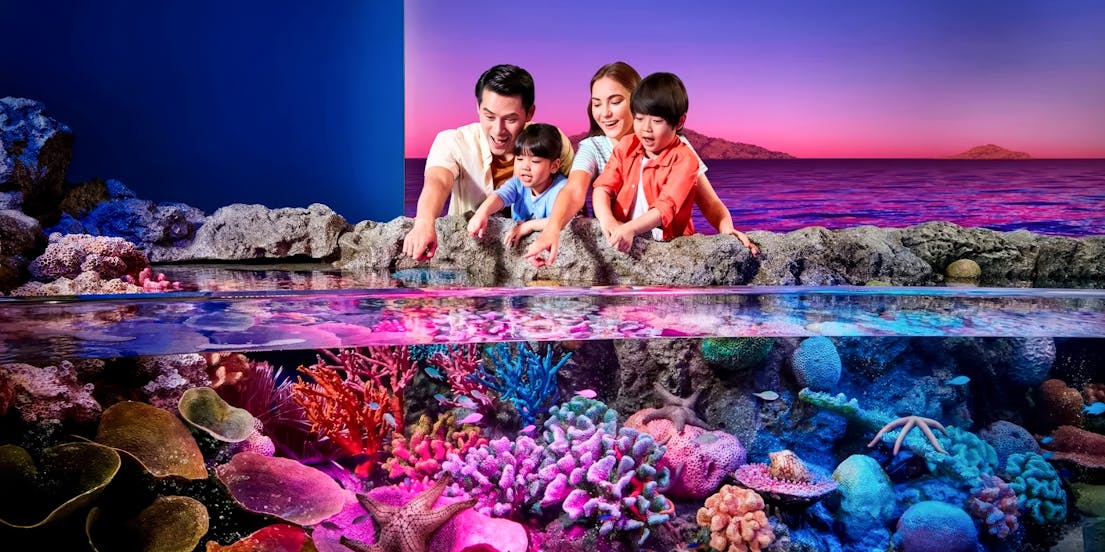 Año Nuevo Lunar en Bangkok