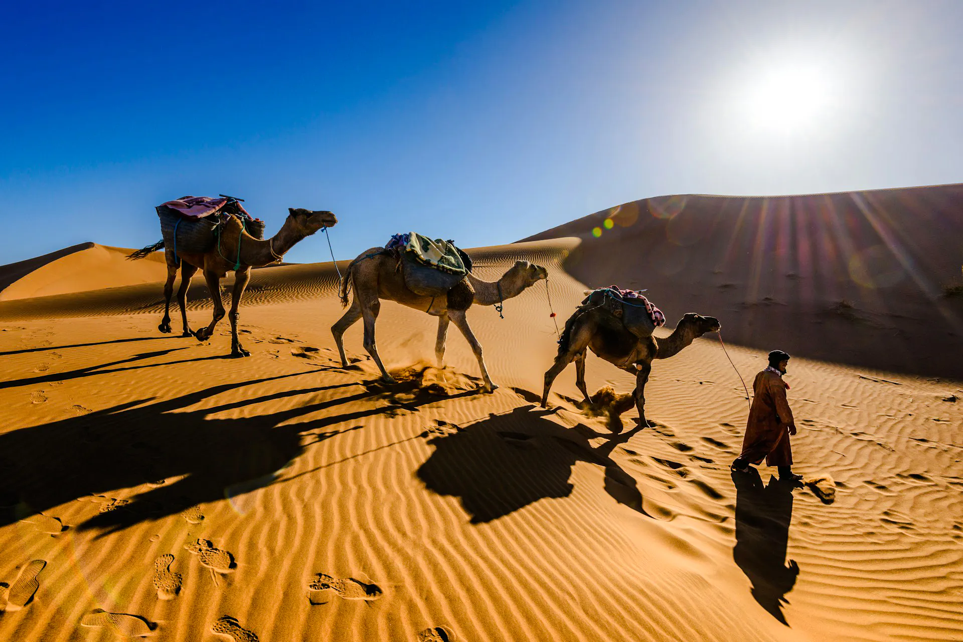 Camels and guide walking through Sahara Desert dunes on Morocco tour.