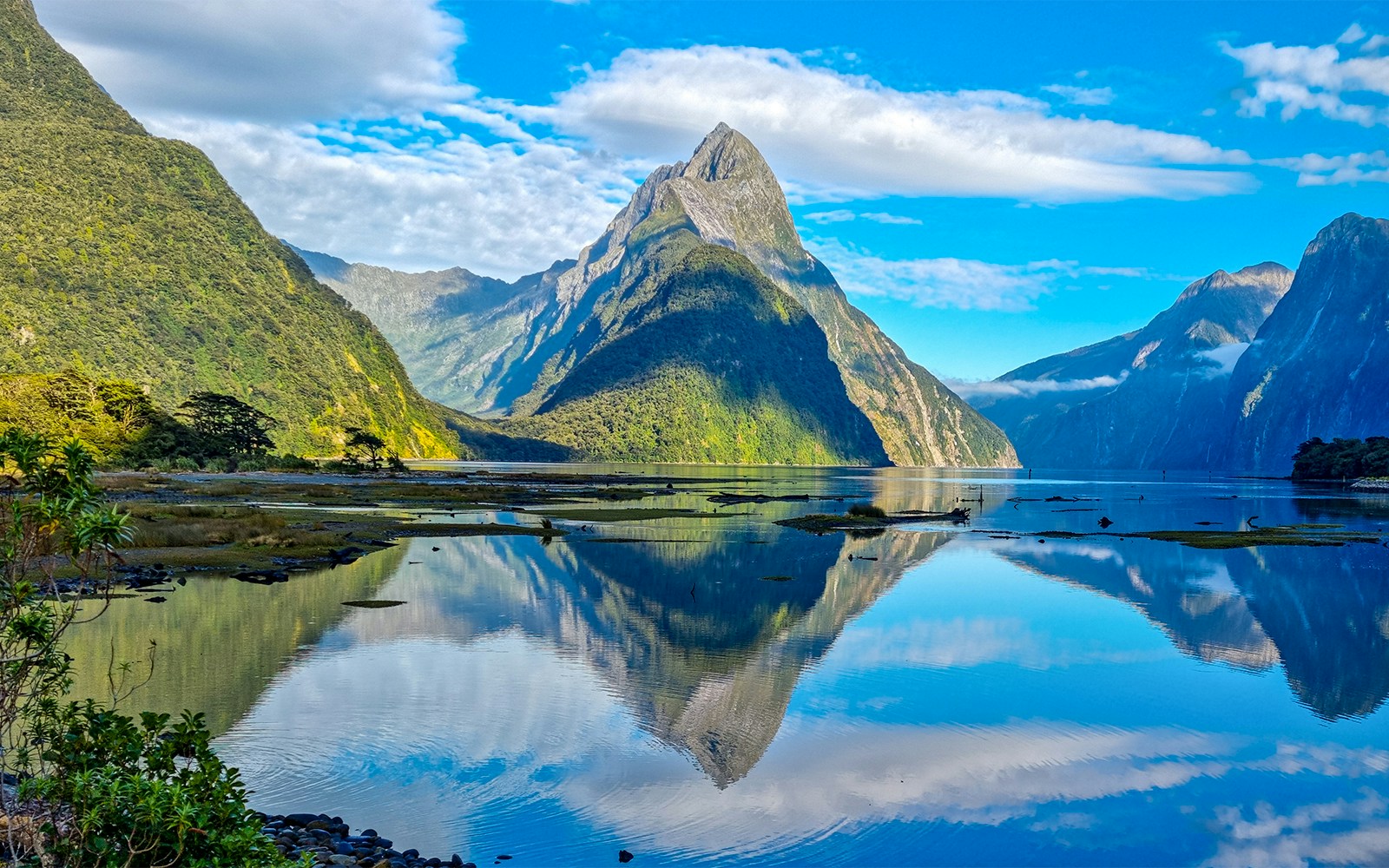 Deepwater Basin, MILFORD SOUND