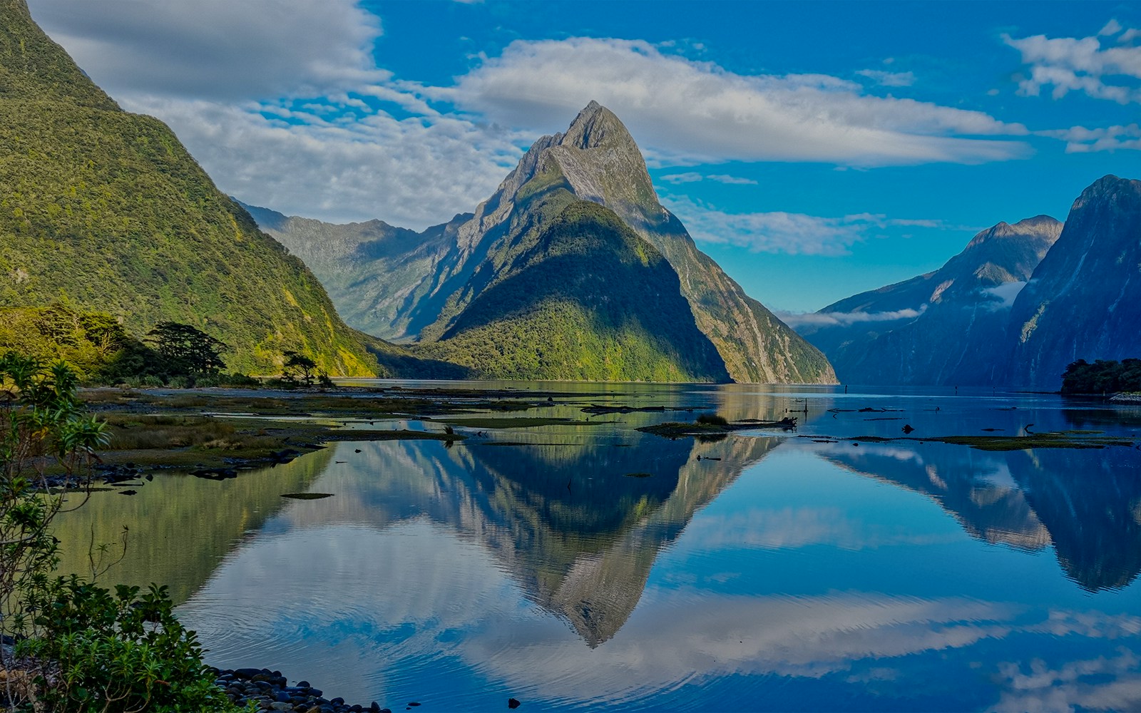Ein See in Milford Sound