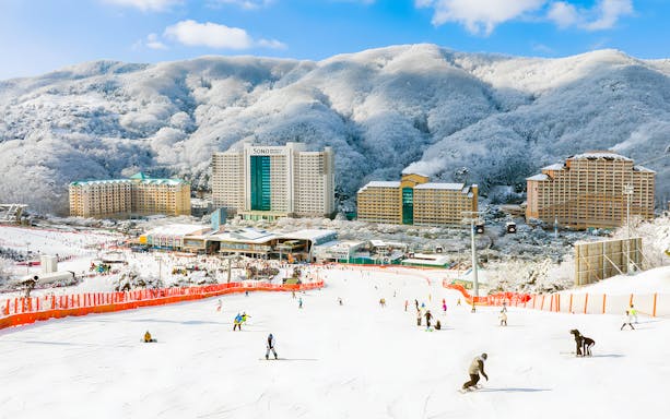 Skiers and snowboarders on snowy slopes at Vivaldi Park Snowy Land, South Korea.
