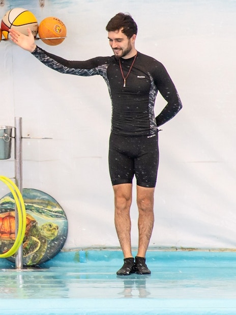 Trainer interacting with dolphin during a performance.