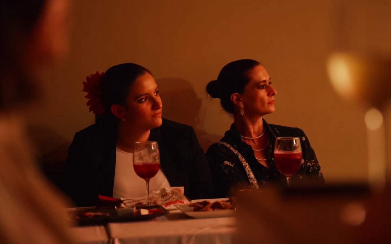 Guests watching flamenco dancers at Tablao La Cantaora, Seville.