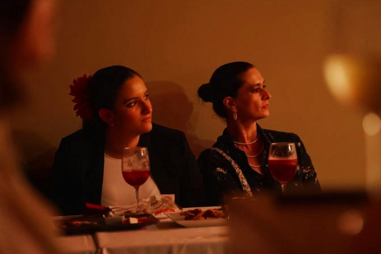 Guests watching flamenco dancers at Tablao La Cantaora, Seville.