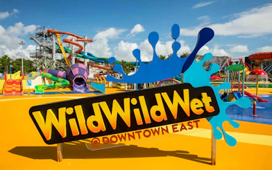 Wild Wild Wet water park entrance with colorful slides, Singapore.