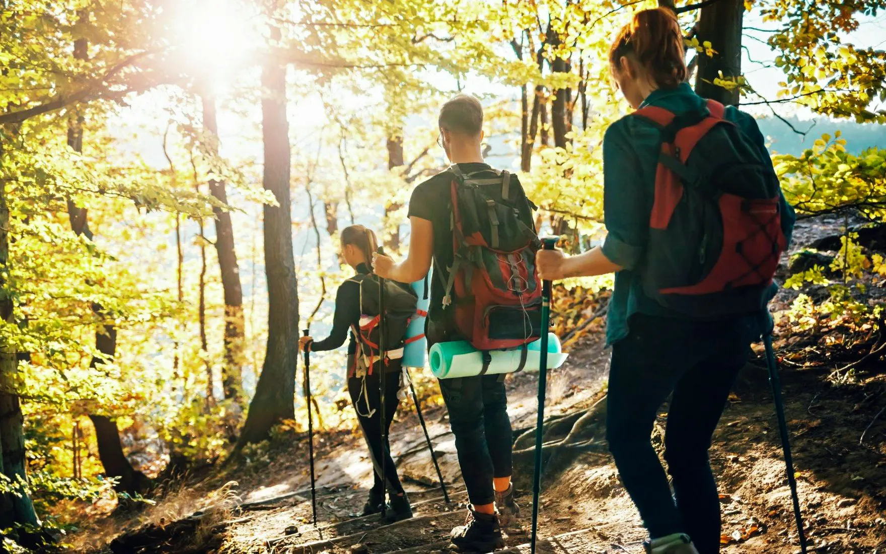 Hikers on a forest trail in Meteora with backpacks and trekking poles.