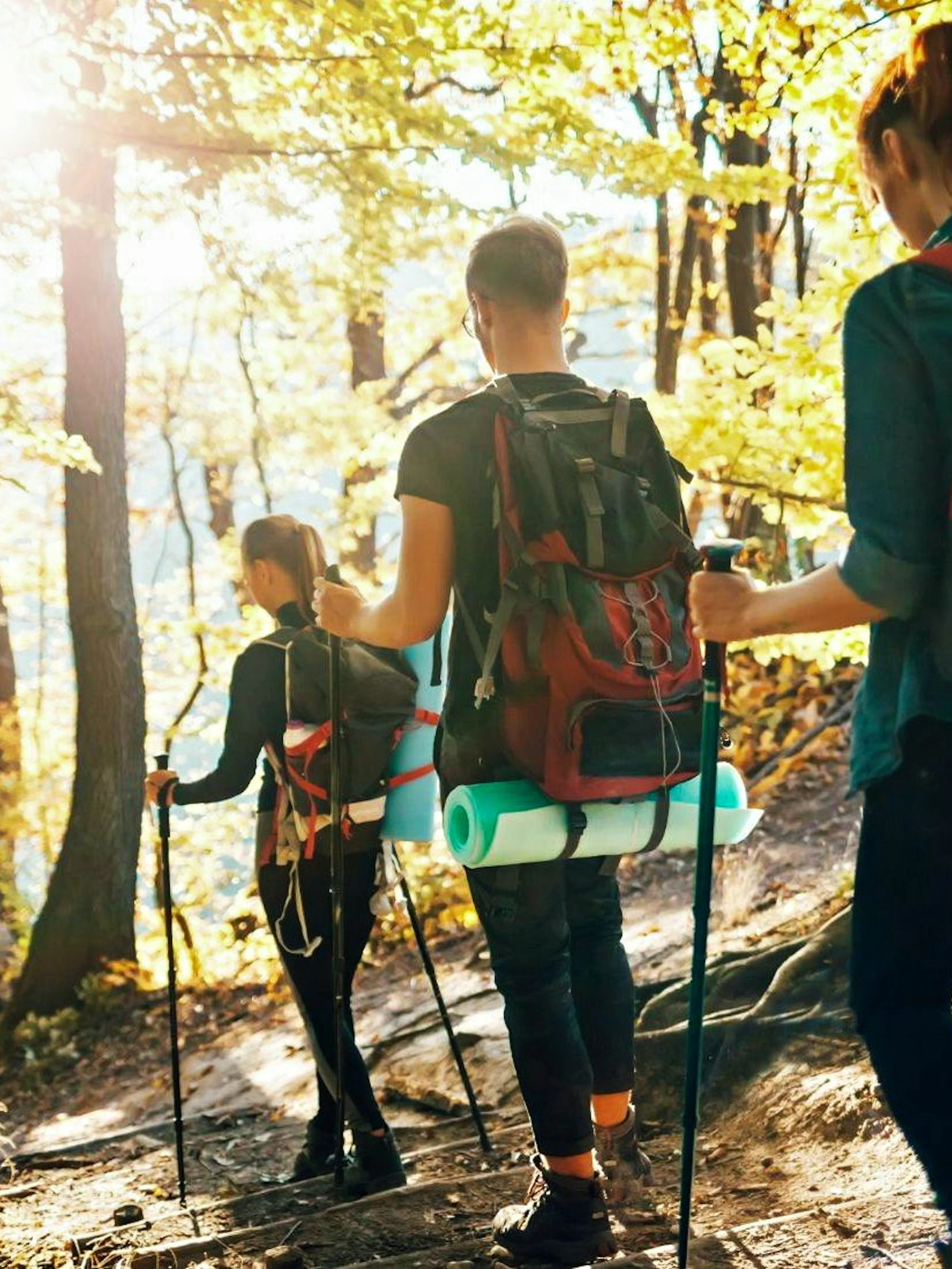 Hikers on a forest trail in Meteora with backpacks and trekking poles.