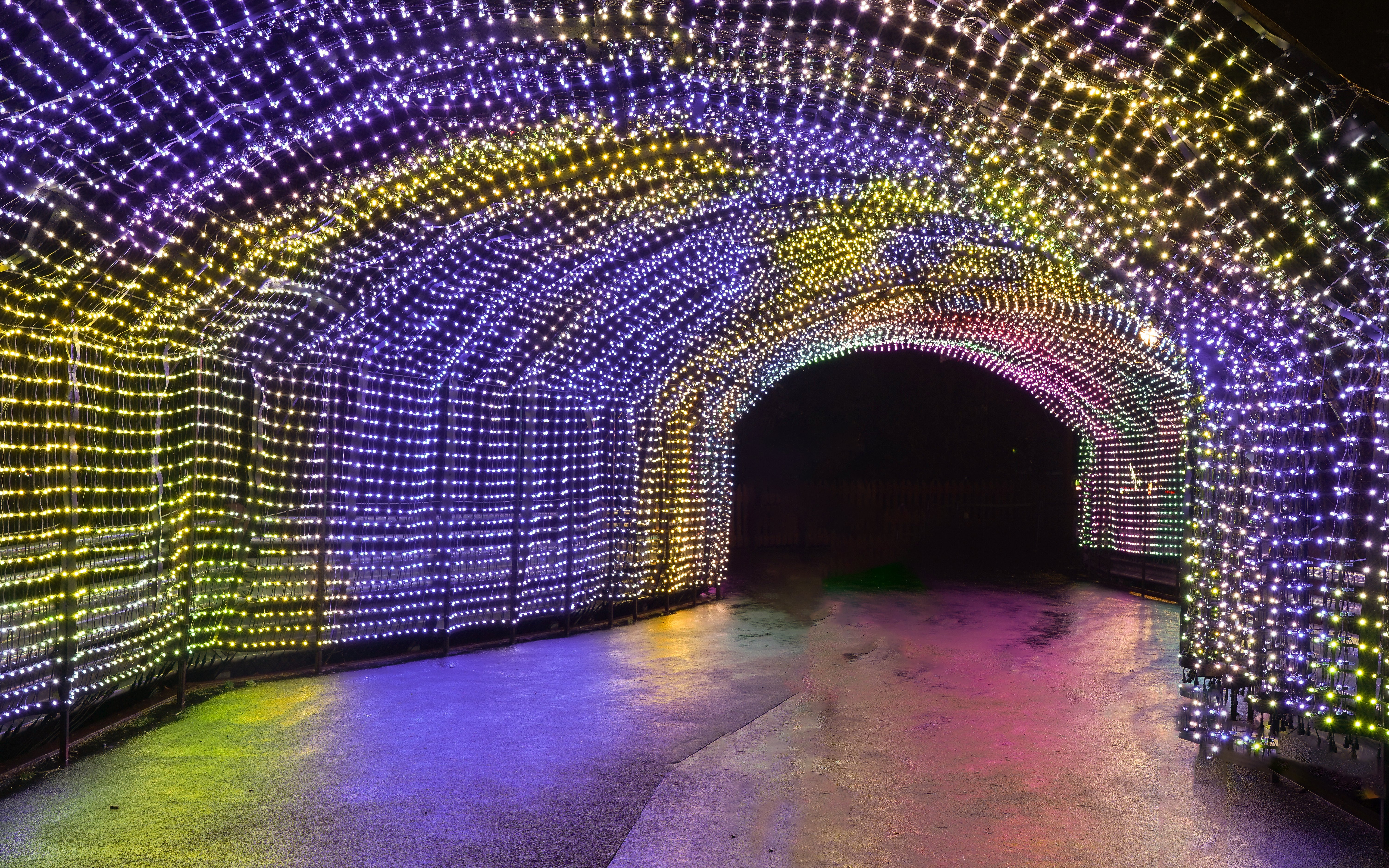 Light trails forming a colorful tunnel at Edinburgh Zoo.