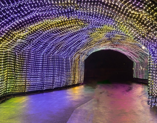 Light trails forming a colorful tunnel at Edinburgh Zoo.