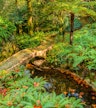 Pena Park